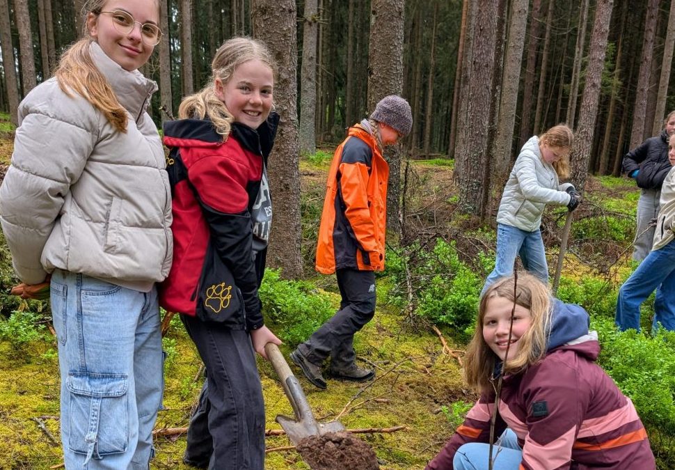 Bäumepflanzen gegen den Klimawandel