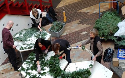 Ein Licht im Advent – Unser Adventskranz erstrahlt