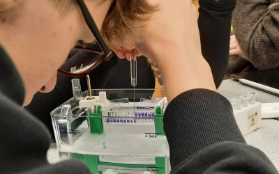 DNA- und Protein-Fingerabdruck im Labor – Leistungskurse Biologie beim NaT-Working Praktikum in Konstanz