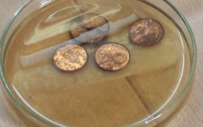 Forschertage an den Grundschulen