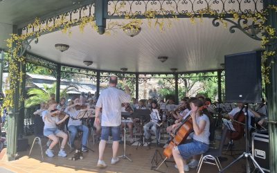 Sommerkonzert & Europa-Park: Erlebnisreiche Tage für das Profilorchester